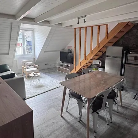 아파트 Avec Mezzanine Au Centre De Cauterets, Wi-fi Inclus - Fr-1-812-146 *